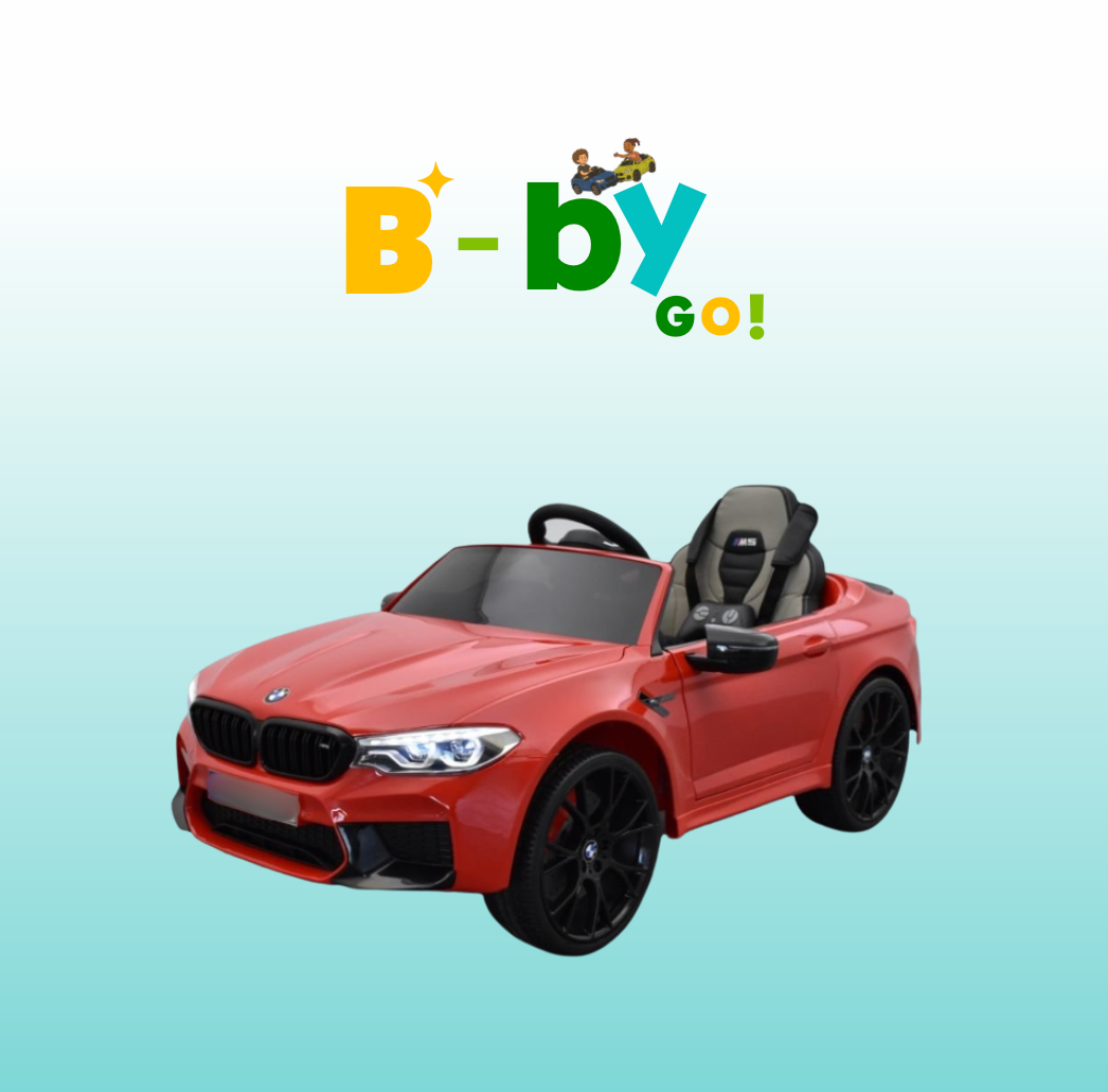 BMW M5 24 Volts, 1 place, 2 moteurs